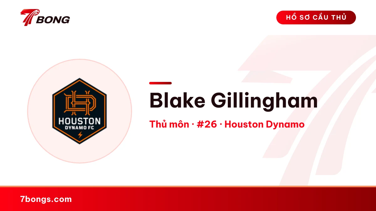 Blake Gillingham — Houston Dynamo